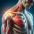 Understanding Shoulder Impingement 